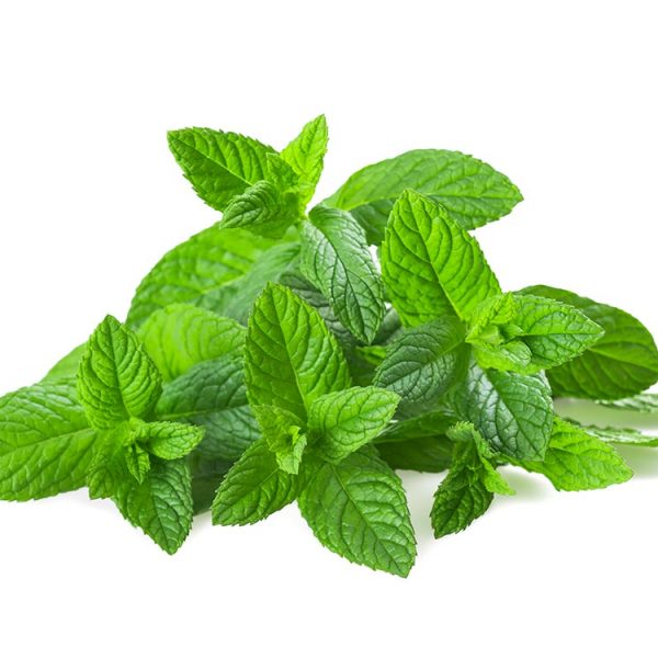 Menthe (Mentha spicata)