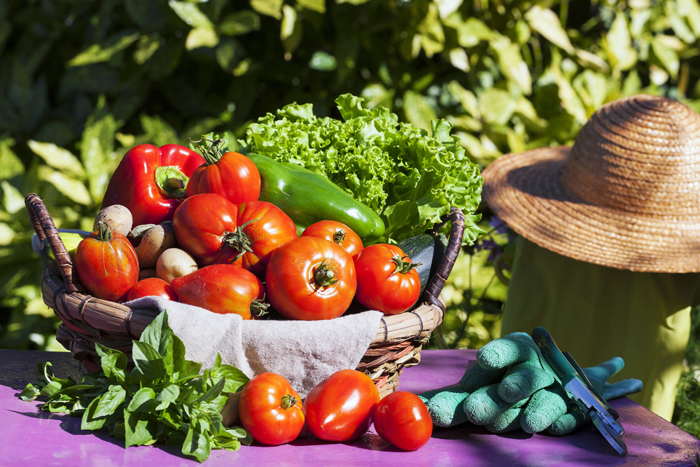 Produits agricoles